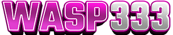 WASP333